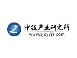 中國(guó)網(wǎng)絡(luò)安全市場(chǎng)運(yùn)營(yíng)形勢(shì)及前景發(fā)展規(guī)劃分析報(bào)告（2018-2020） 聚焦網(wǎng)絡(luò)與信息安全軟件開發(fā)
